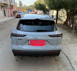 جيتور داشينج